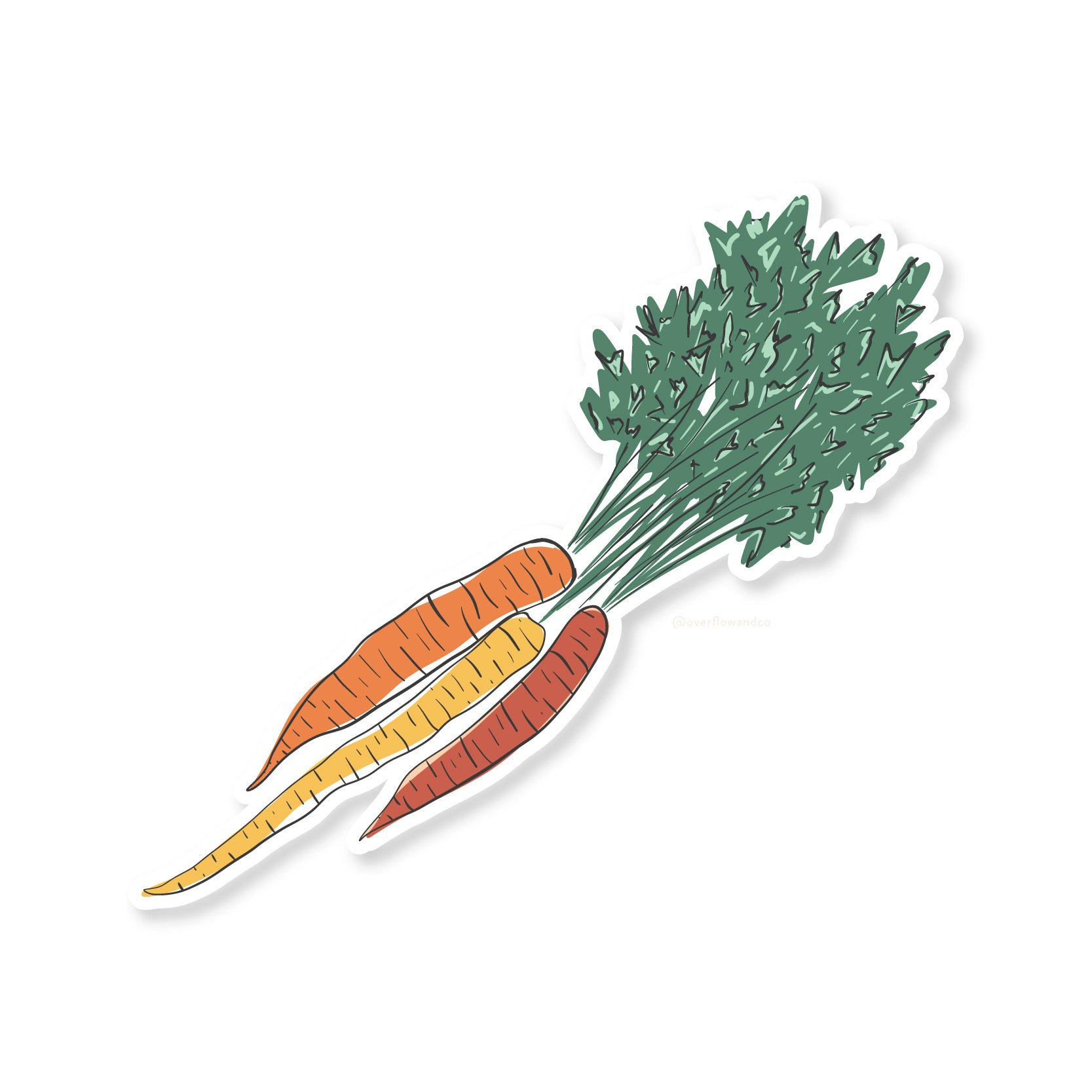 bunch of carrots sticker | farmer's market collection | overflow & co